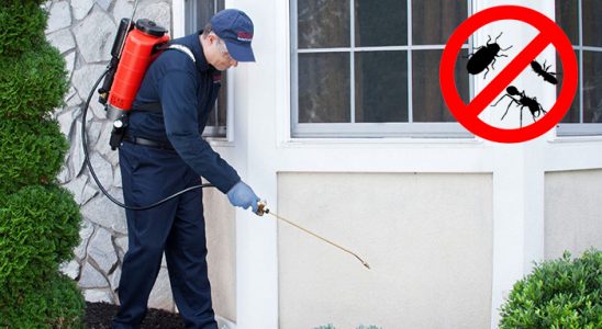 Boyalık Kemirgen İlaçlama böcek ilaçlama ve haşere kontrolü — ilaclama-tr.com